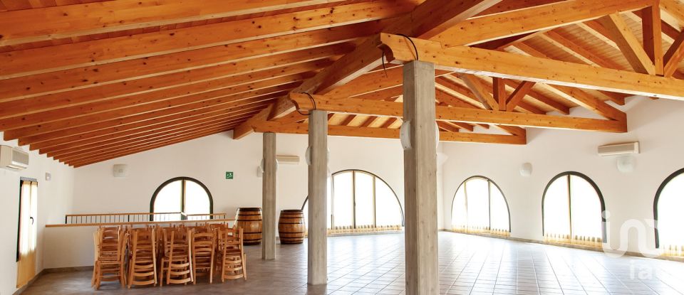 Casa indipendente / Villa 9 locali di 1.000 m² in Migliarino (44027)