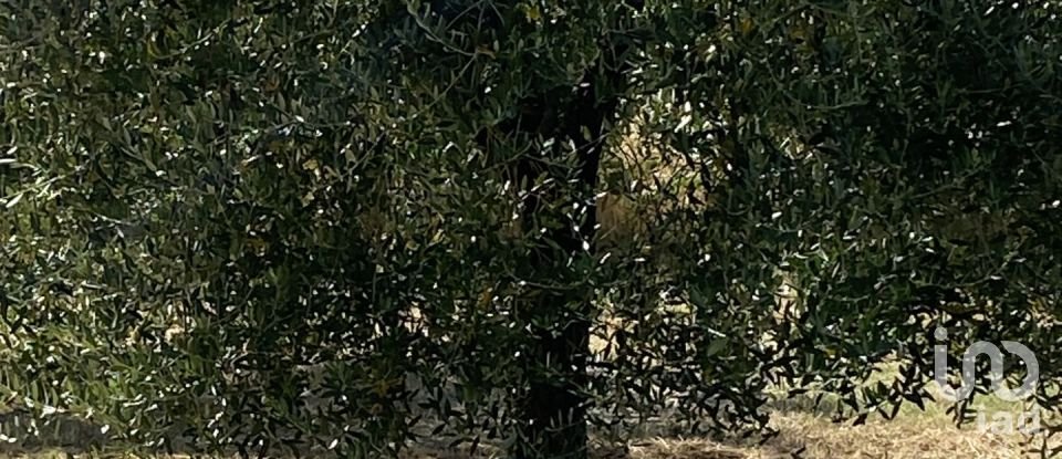 Rustico 18 locali di 498 m² in Chianciano Terme (53042)