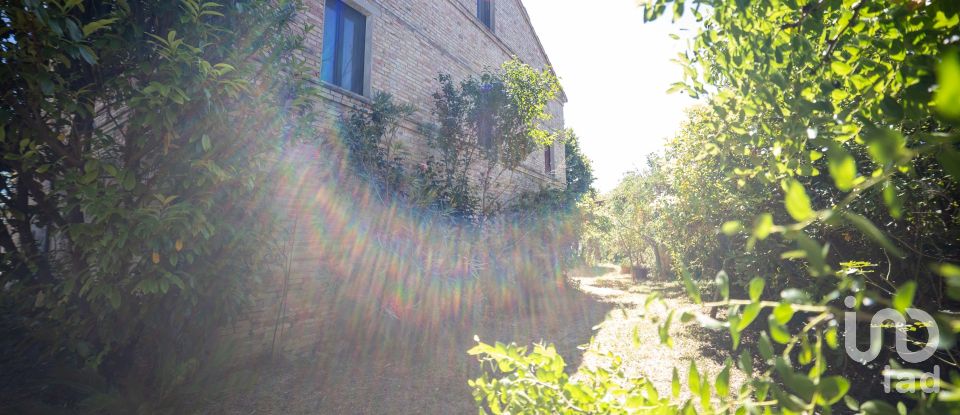 House 4 rooms of 129 m² in Treia (62010)