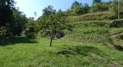 Casa indipendente 6 locali di 100 m² in Carro (19012)