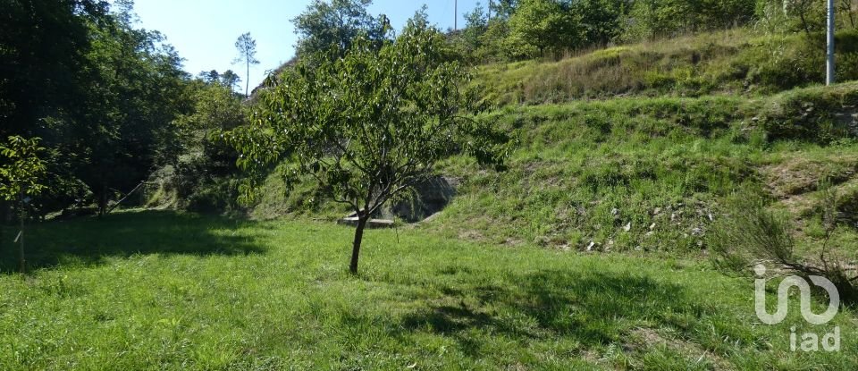Casa indipendente 6 locali di 100 m² in Carro (19012)