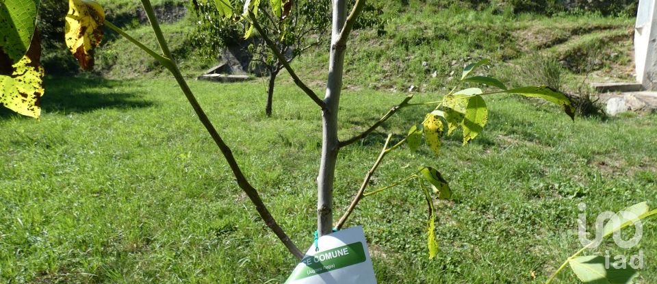 Casa indipendente 6 locali di 100 m² in Carro (19012)