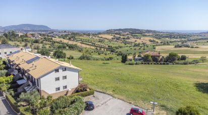 Terreno di 6.098 m² in Recanati (62019)
