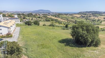 Terreno di 6.098 m² in Recanati (62019)