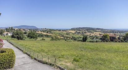 Terreno di 6.098 m² in Recanati (62019)