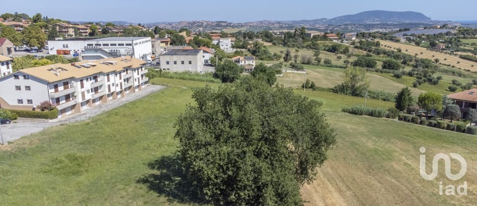 Terreno di 6.098 m² in Recanati (62019)