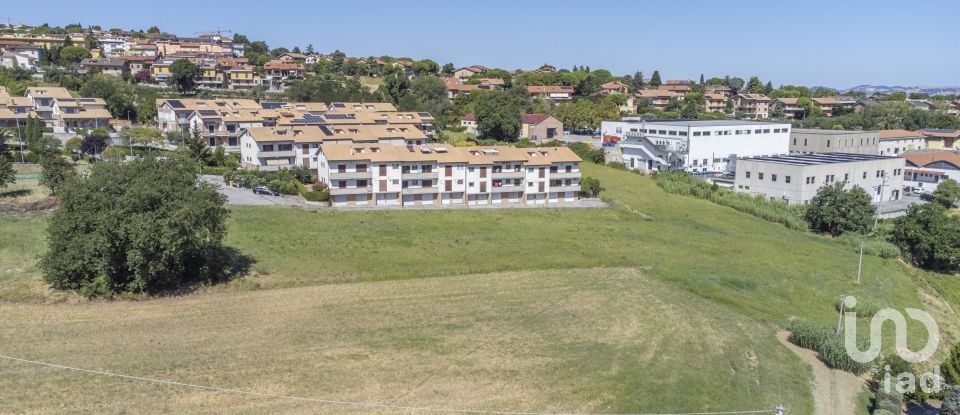 Terreno di 6.098 m² in Recanati (62019)