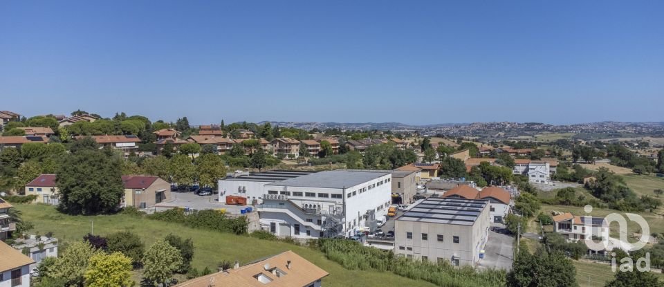 Terreno di 6.098 m² in Recanati (62019)