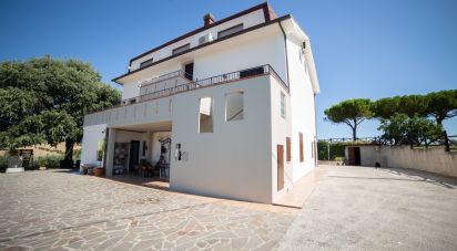 Casa indipendente 0 locali di 370 m² in Senigallia (60019)
