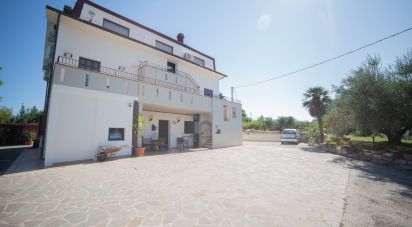 Casa indipendente 0 locali di 370 m² in Senigallia (60019)