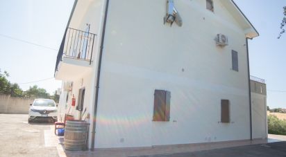 Casa indipendente 0 locali di 370 m² in Senigallia (60019)
