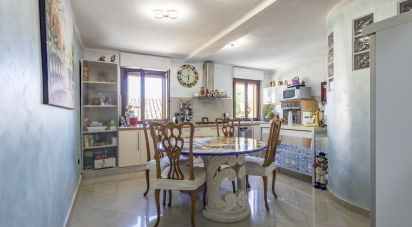 Casa indipendente / Villa 7 locali di 183 m² in Offagna (60020)