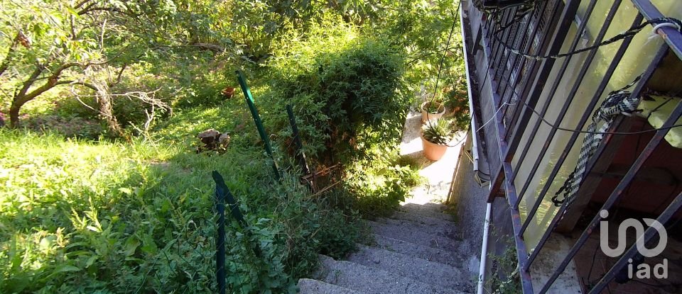 Four-room apartment of 102 m² in Bargagli (16021)