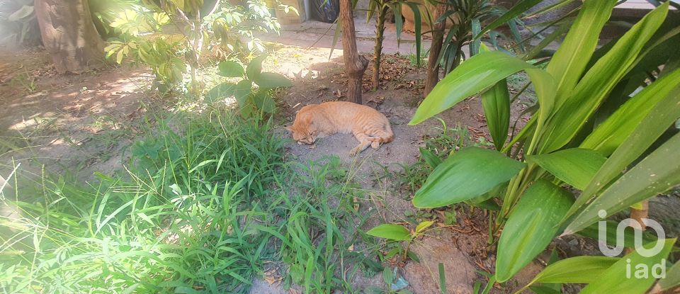 Trilocale di 70 m² a Chiavari (16043)