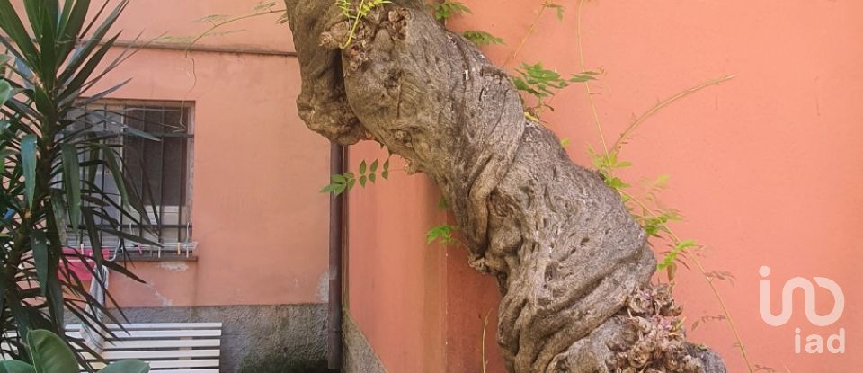 Trilocale di 70 m² a Chiavari (16043)