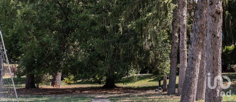 Appartamento 6 locali di 190 m² a Roma (00197)