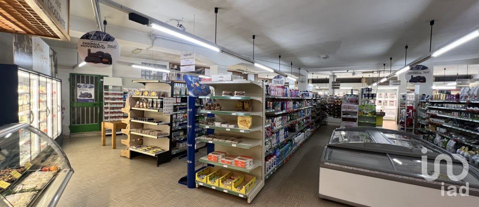 Negozio / locale commerciale di 323 m² in San Salvatore Monferrato (15046)