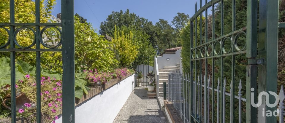 Quadrilocale di 115 m² a Numana (60026)