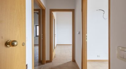 Bilocale di 56 m² a Montegiorgio (63833)