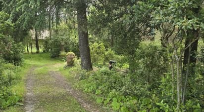 Townhouse 0 rooms of 230 m² in Tuoro sul Trasimeno (06069)