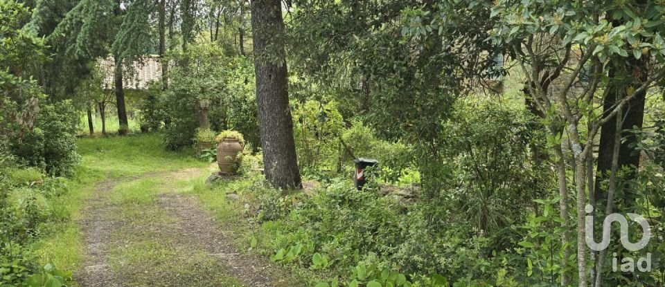 Casa indipendente 0 locali di 230 m² in Tuoro sul Trasimeno (06069)