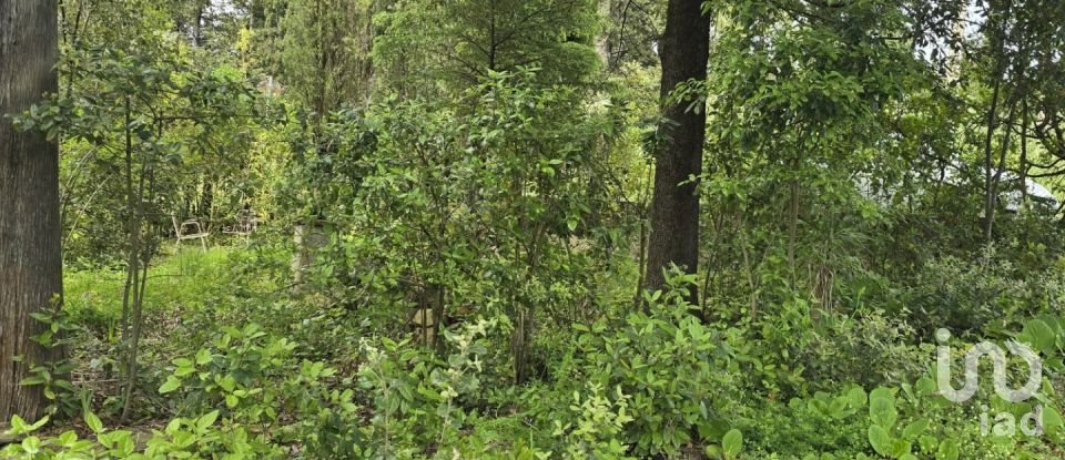 Casa indipendente 0 locali di 230 m² in Tuoro sul Trasimeno (06069)