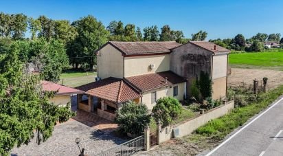 Casa indipendente / Villa 6 locali di 228 m² in Migliarino (44027)