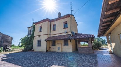 Casa indipendente / Villa 6 locali di 228 m² in Migliarino (44027)