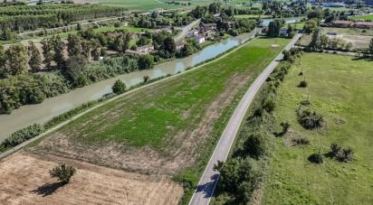 Casa indipendente / Villa 6 locali di 228 m² in Migliarino (44027)