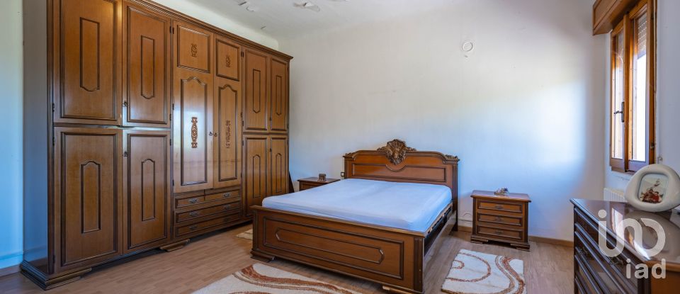 Casa indipendente / Villa 6 locali di 228 m² in Migliarino (44027)