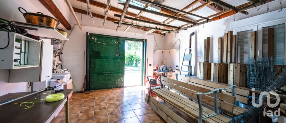 Casa indipendente / Villa 6 locali di 228 m² in Migliarino (44027)