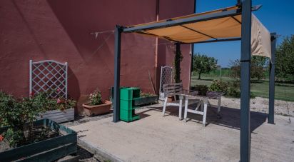 Casa indipendente / Villa 6 locali di 3.149 m² in Berra (44033)