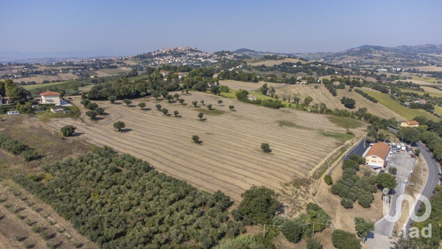 Terreno di 9.516 m² in Osimo (60027)