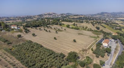Terreno di 9.516 m² in Osimo (60027)