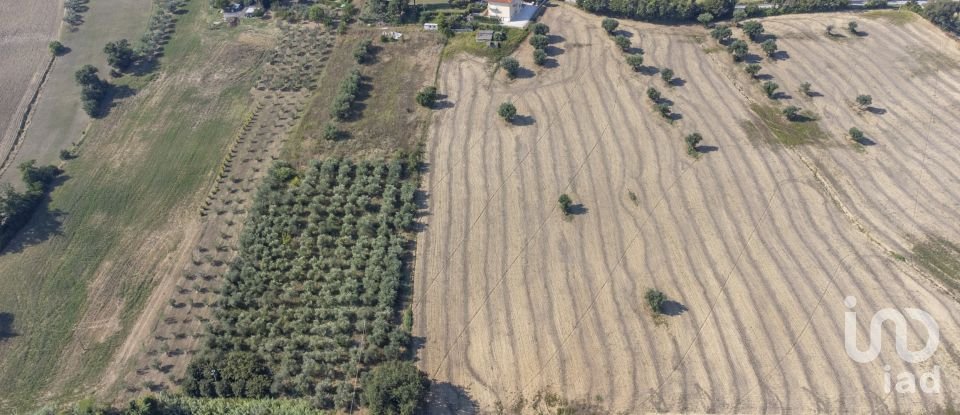 Terreno di 9.516 m² in Osimo (60027)