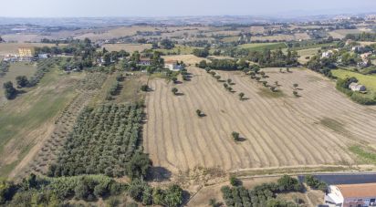 Terreno di 9.516 m² in Osimo (60027)