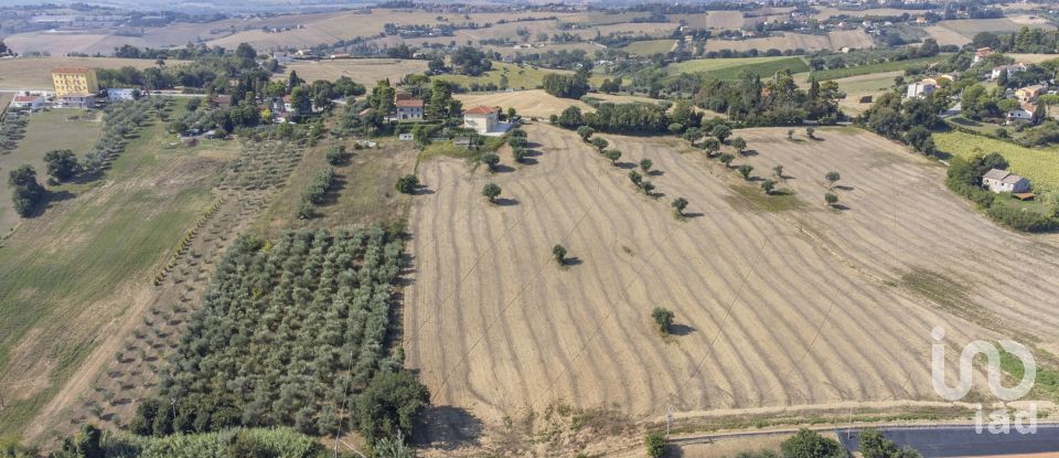 Terreno di 9.516 m² in Osimo (60027)