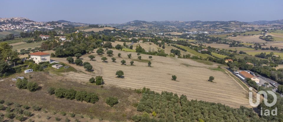Terreno di 9.516 m² in Osimo (60027)