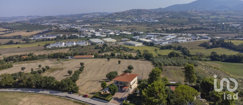 Terreno di 9.516 m² in Osimo (60027)