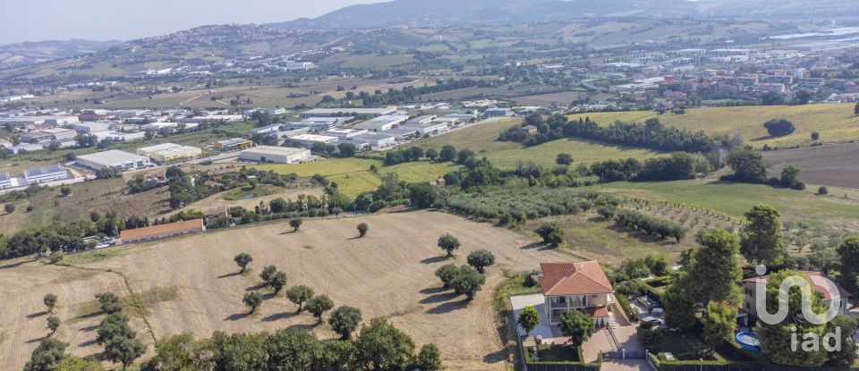Terreno di 9.516 m² in Osimo (60027)
