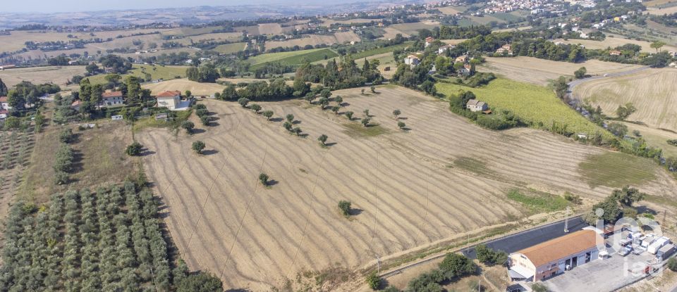 Terreno di 9.516 m² in Osimo (60027)