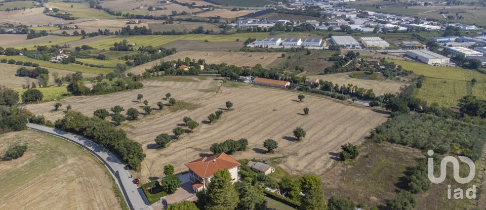 Terreno di 9.516 m² in Osimo (60027)