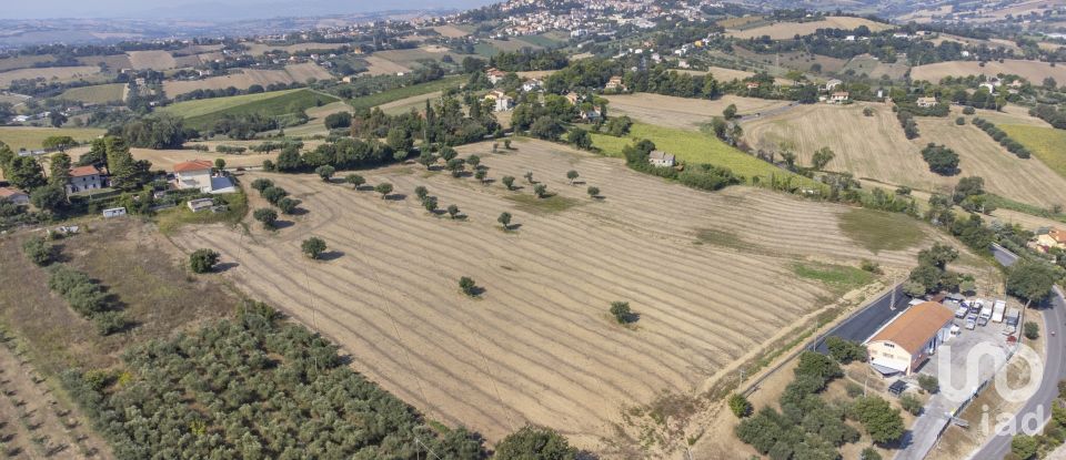Terreno di 9.516 m² in Osimo (60027)