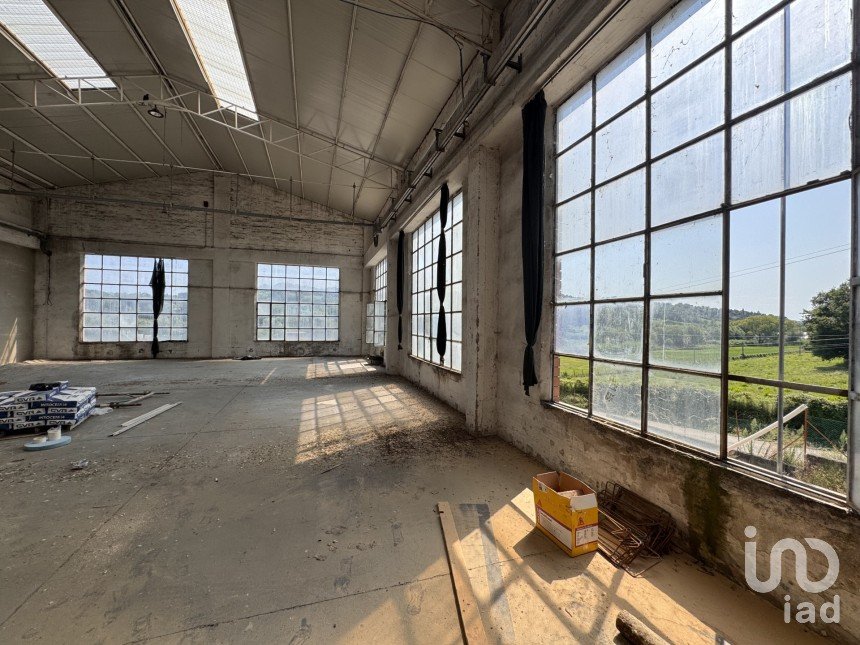 Shop / premises commercial of 900 m² in Pesaro (61122)