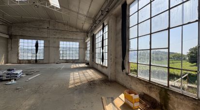 Negozio / locale commerciale di 900 m² in Pesaro (61122)