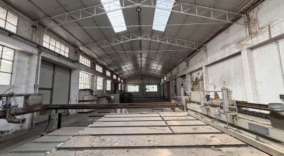 Negozio / locale commerciale di 900 m² in Pesaro (61122)