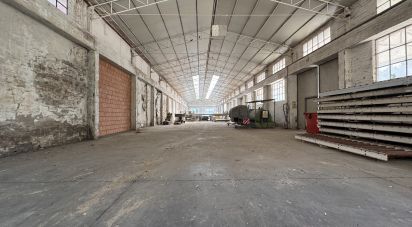 Shop / premises commercial of 900 m² in Pesaro (61122)