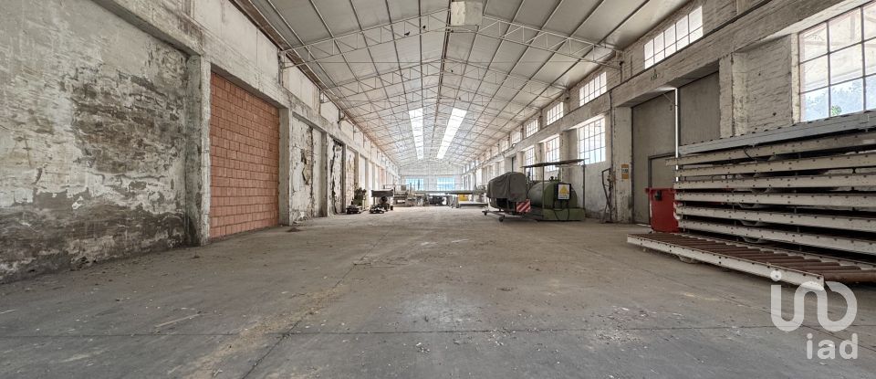 Shop / premises commercial of 900 m² in Pesaro (61122)