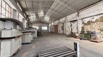 Negozio / locale commerciale di 900 m² in Pesaro (61122)