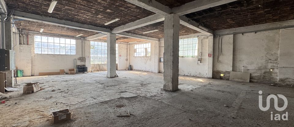 Shop / premises commercial of 900 m² in Pesaro (61122)